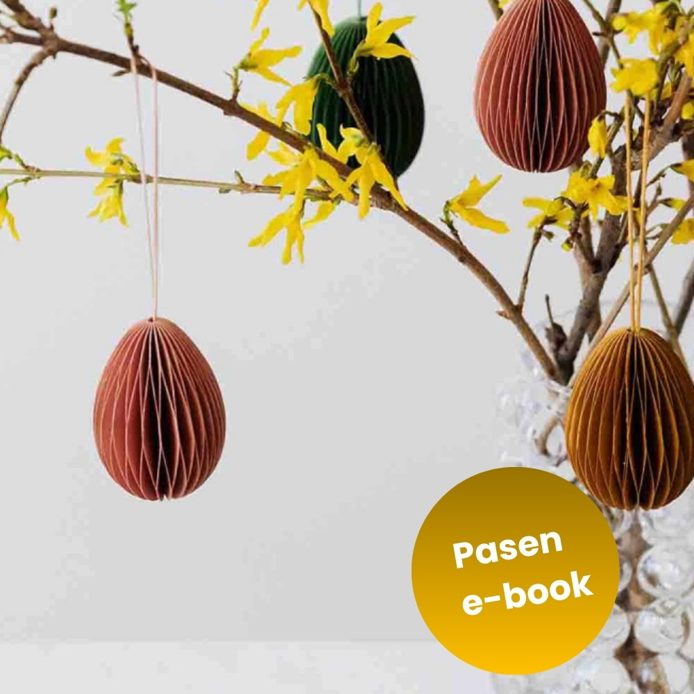 new Pasen E-book