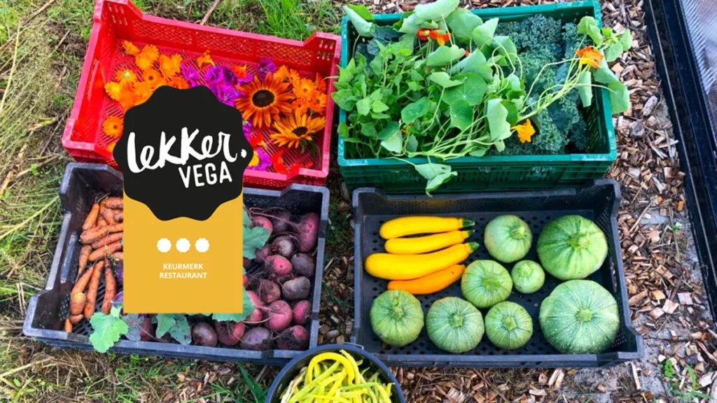 volkshuis deventer is de vega hotspot met veel plantaardig op de menukaart, zo van hun moestuin op je bord