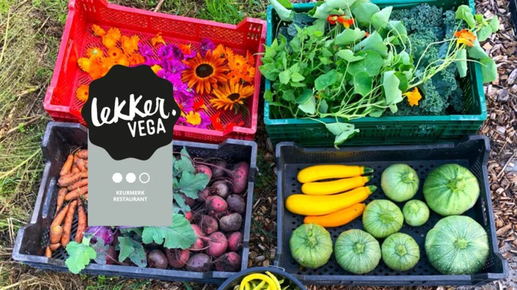 Volkshuis Deventer serveert voornamelijk vegetarische en plantaardige gerechten met producten uit eigen moestuin en regeneratieve landbouw-akker.