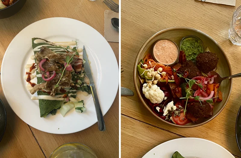 twee vegan hoofdgerechtjes van restaurant Hagedis