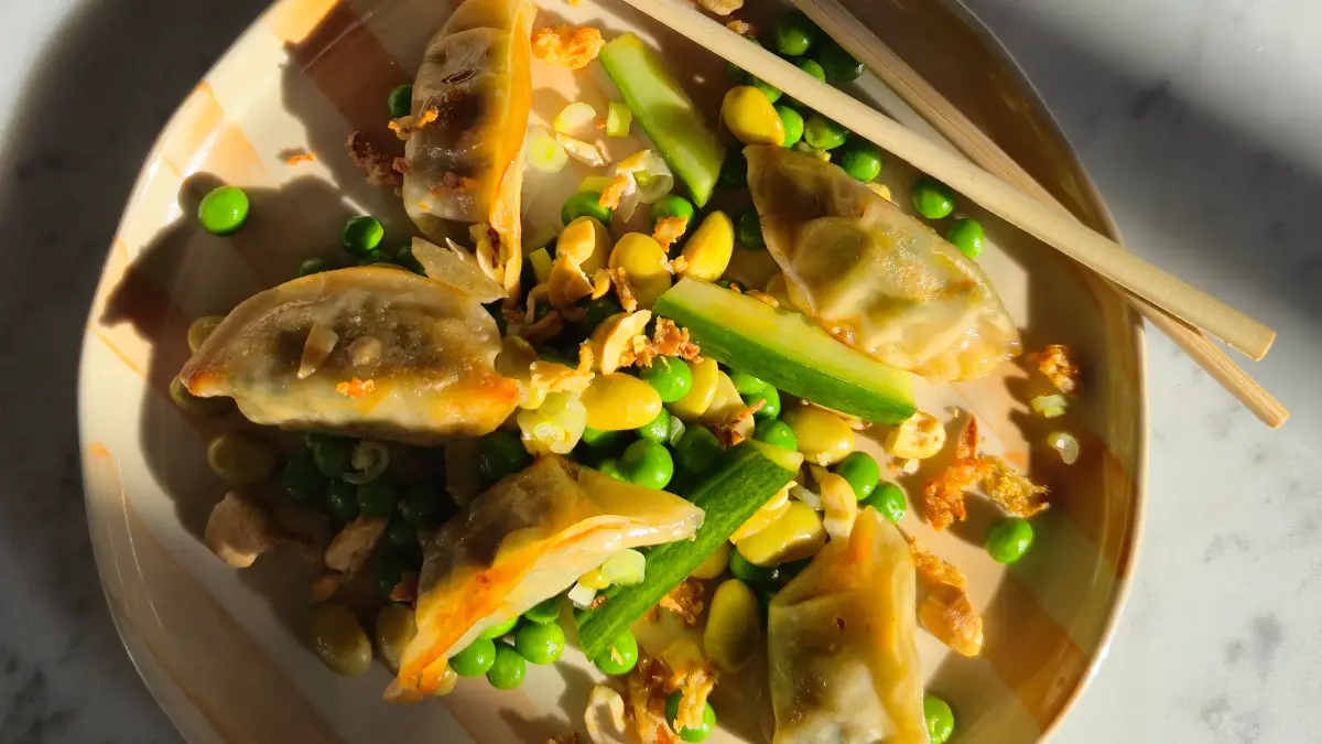 V-Label in de keuken Gyoza salade
