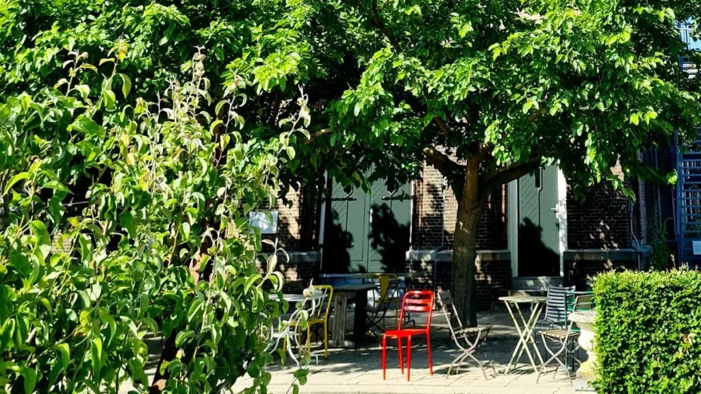 Buiten eten vega en of vegan op terras