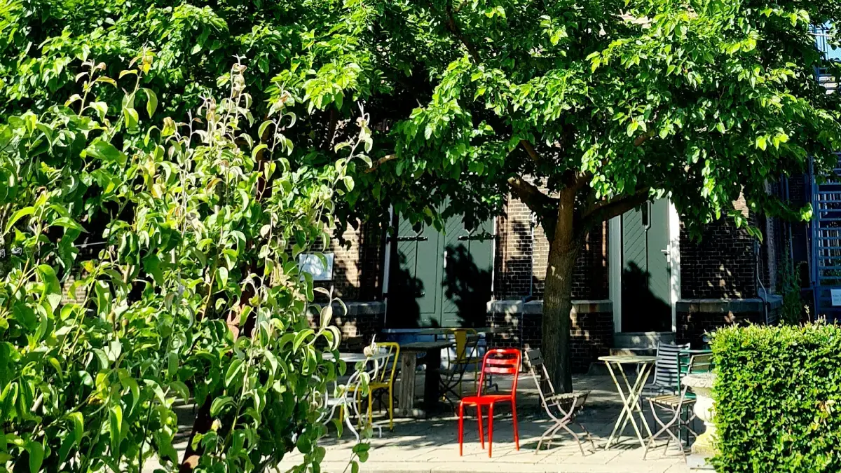 Buiten eten vega en of vegan op terras