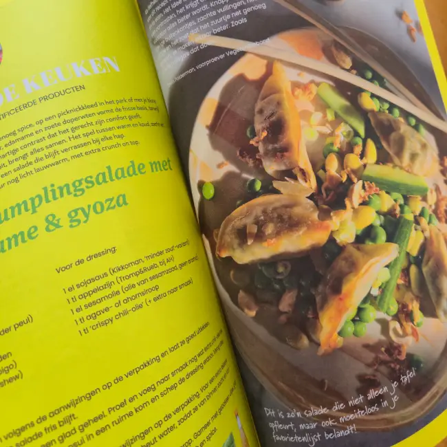 Gyoza LekkerVega Magazine
