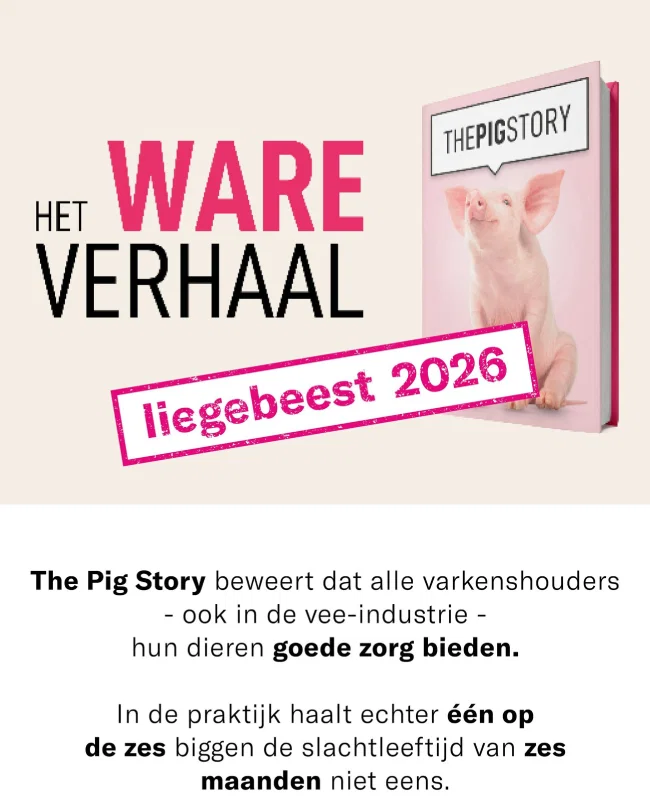 Liegebeest 2026 verhaal