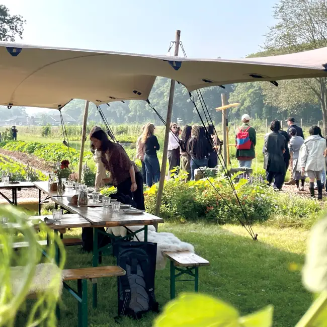 Agroforestry beleven Gagel
